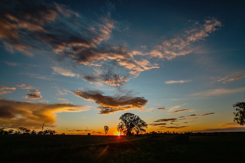 Outback Queensland landscape at sunset.