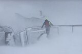 A rescue worker wearing a high vis jacket walks through a blizzard. A building is faintly visible in the distance.
