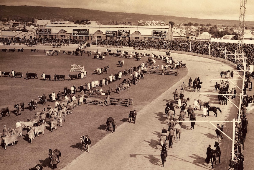 Large crowds attend the Royal Adelaide Show in 1936