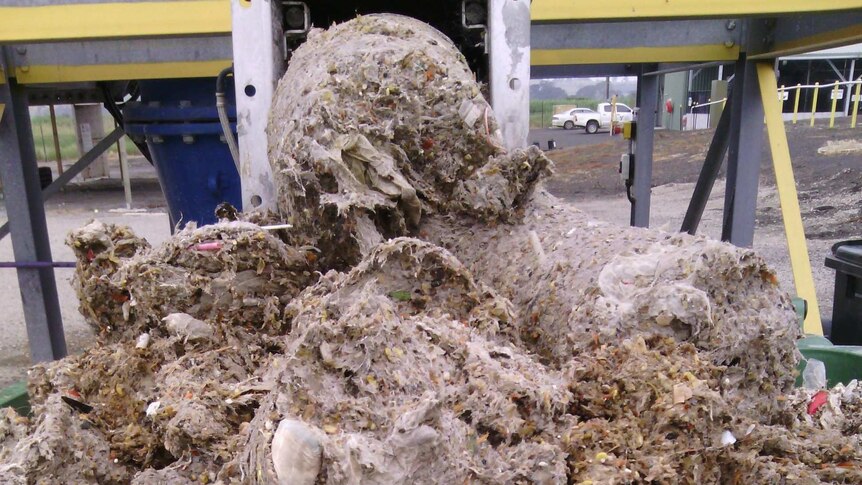 A fatberg removed by Yarra Valley Water