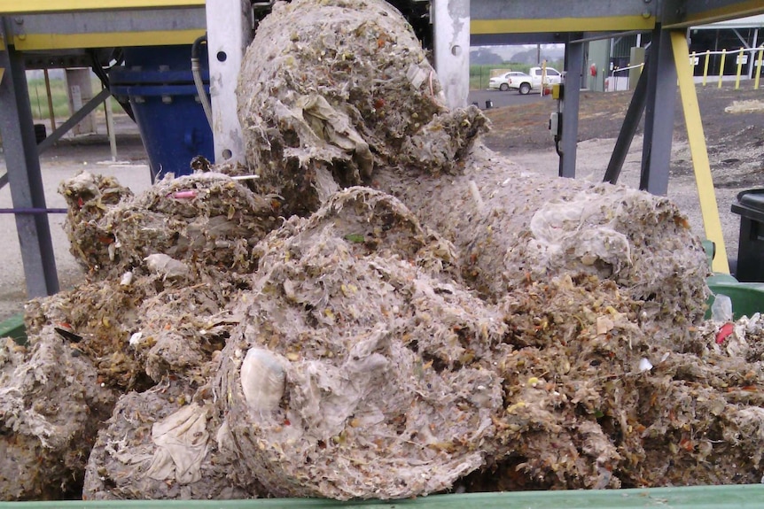 A fatberg removed by Yarra Valley Water