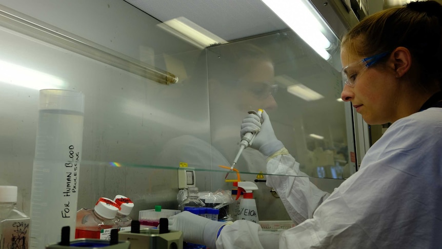 Dr Carolien Van de Sandt examines the blood samples of Coronavirus patients.