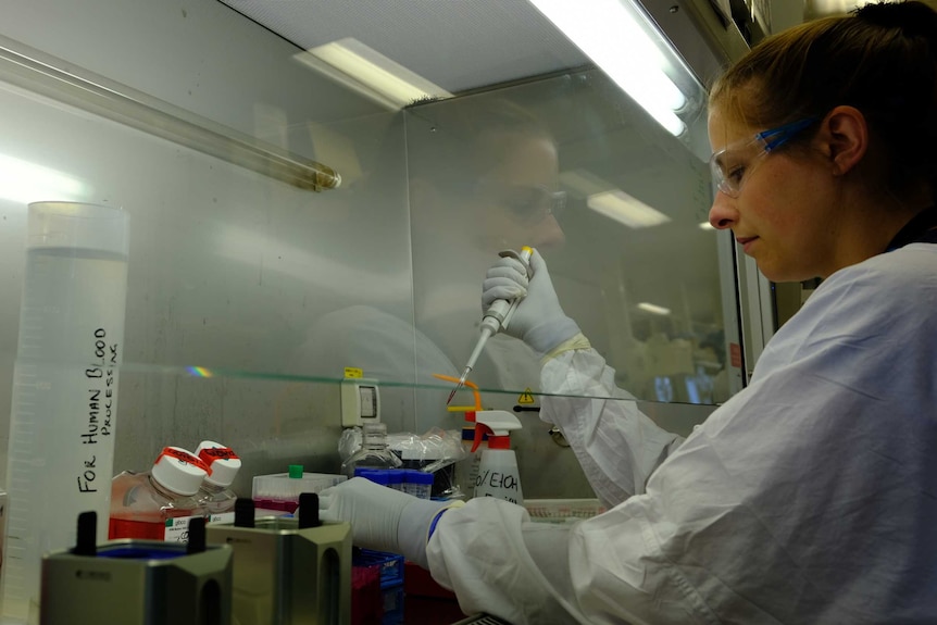 Dr Carolien Van de Sandt examines the blood samples of Coronavirus patients.