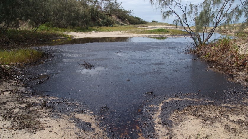 The oil spill led to a massive clean-up of Moreton Island, off Brisbane.