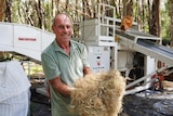 Man in green shirt holds pile of hemp with large industrial machine in the background