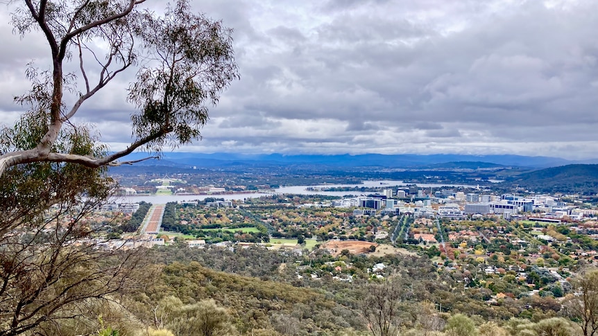 A vantage point view of Canberra, Lake Burley Griffin and Anzac Parade from the top of Mount Ainslie. It's a cloudy day. 