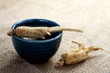 The ginseng root