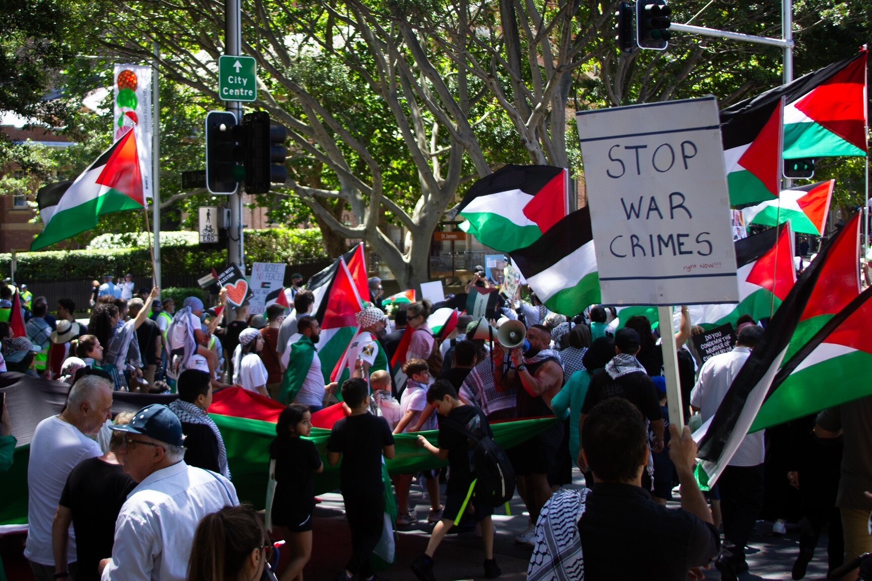 Sydney pro-Palestinian protesters hold palestinian flags in the CBD on sunday november 3