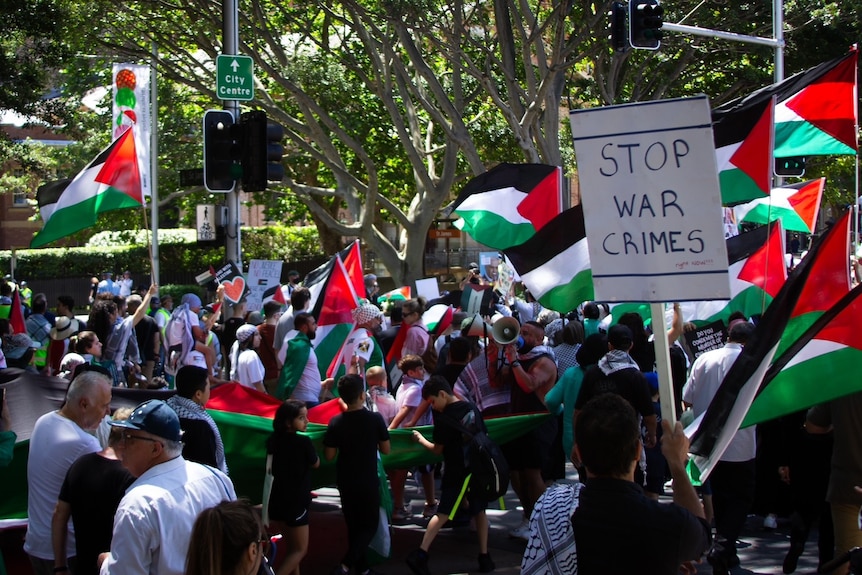 Sydney pro-Palestinian protesters hold palestinian flags in the CBD on sunday november 3