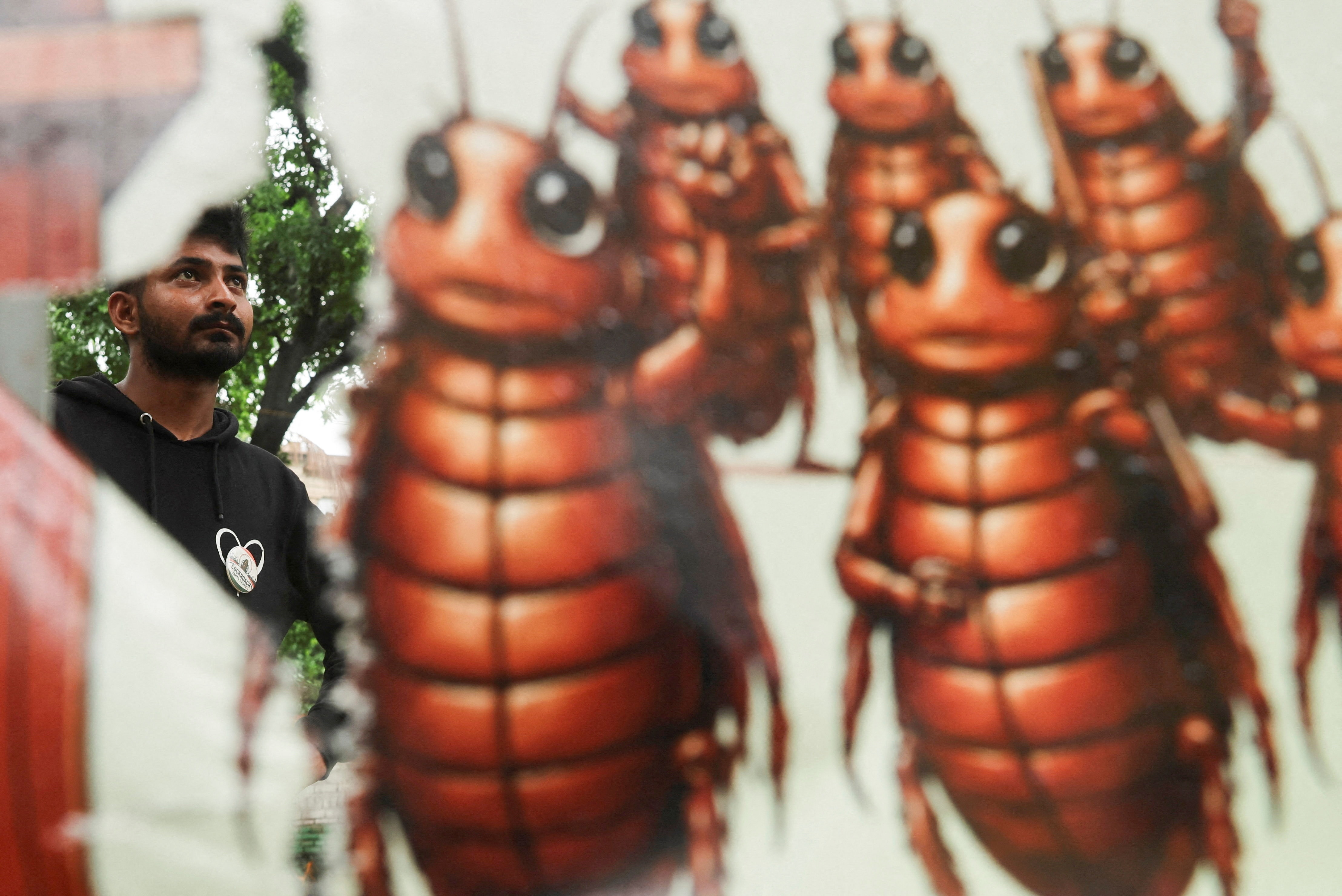 A man is seen through a torn hole in a banner featuring cartoon cockroaches. 