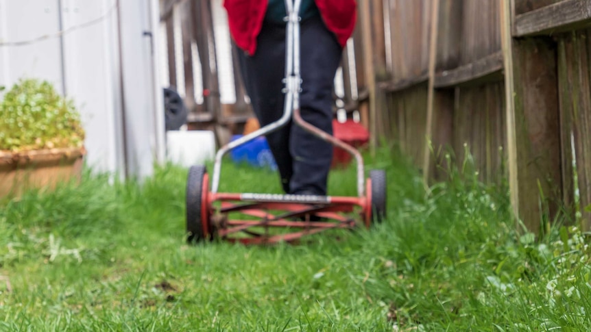 Person using push mower in long grass