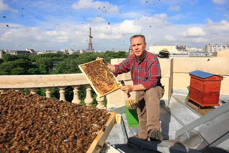 A man with a beehive overlooking the Eiffel Tower