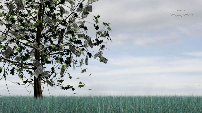 Low angle view of money growing on a tree (Getty Creative Images: Photodisc)