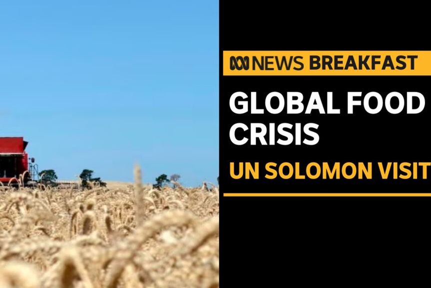 Global Food Crisis, UN Solomon Visit: Field of wheat with a red harvester in the background