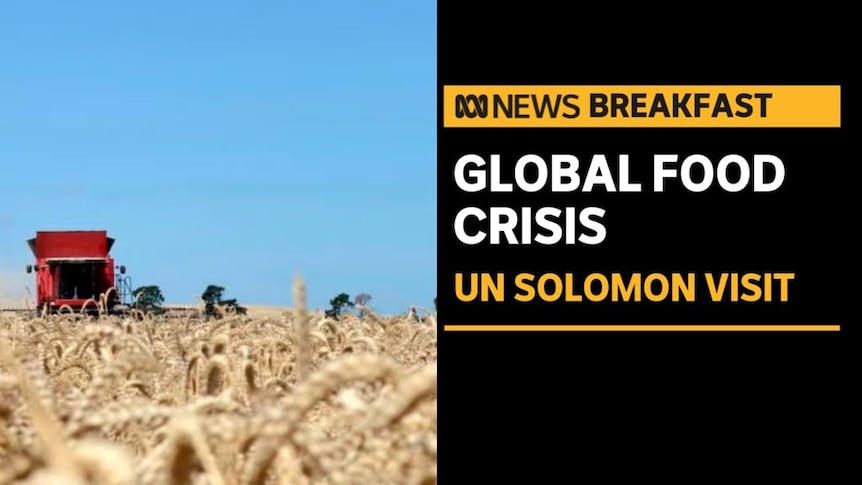 Global Food Crisis, UN Solomon Visit: Field of wheat with a red harvester in the background
