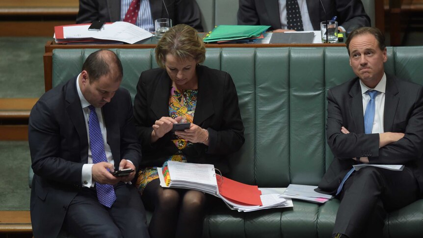 Josh Fryenberg and Sussan Ley on their mobile phones during Question Time in Parliament House.