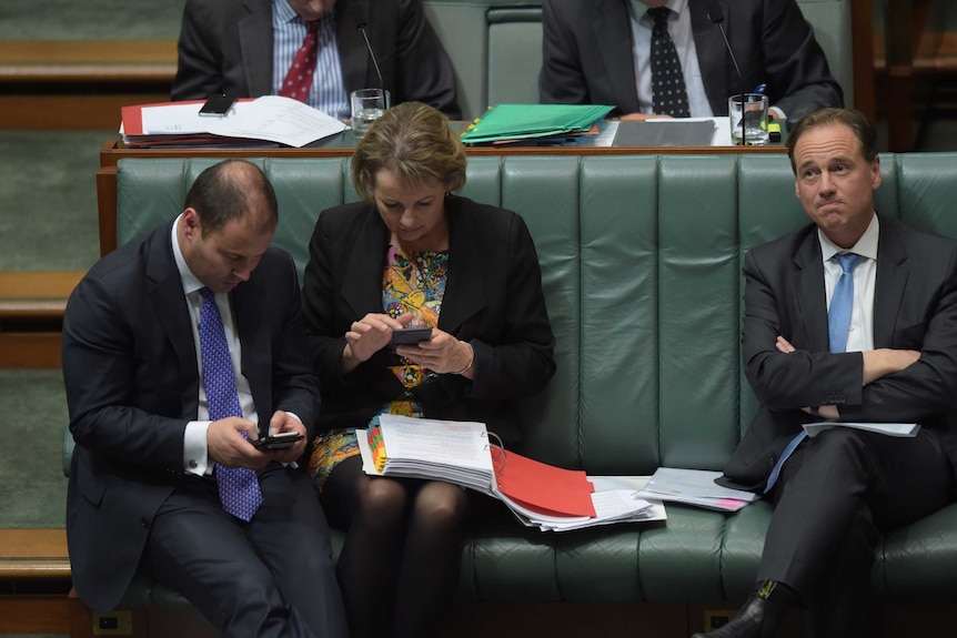 Josh Fryenberg and Sussan Ley on their mobile phones during Question Time in Parliament House.