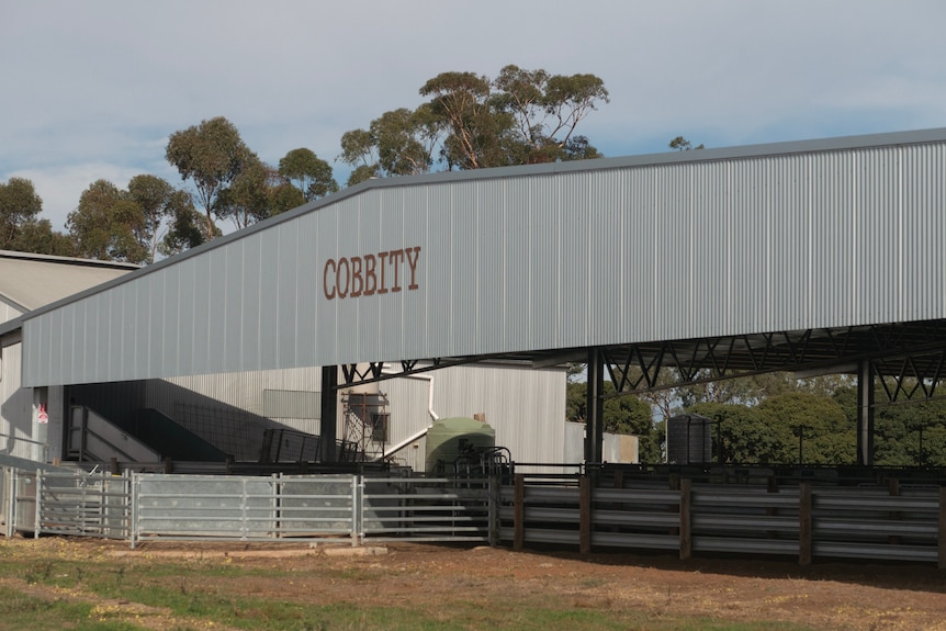 Paradoo Prime's new undercover sheep yards