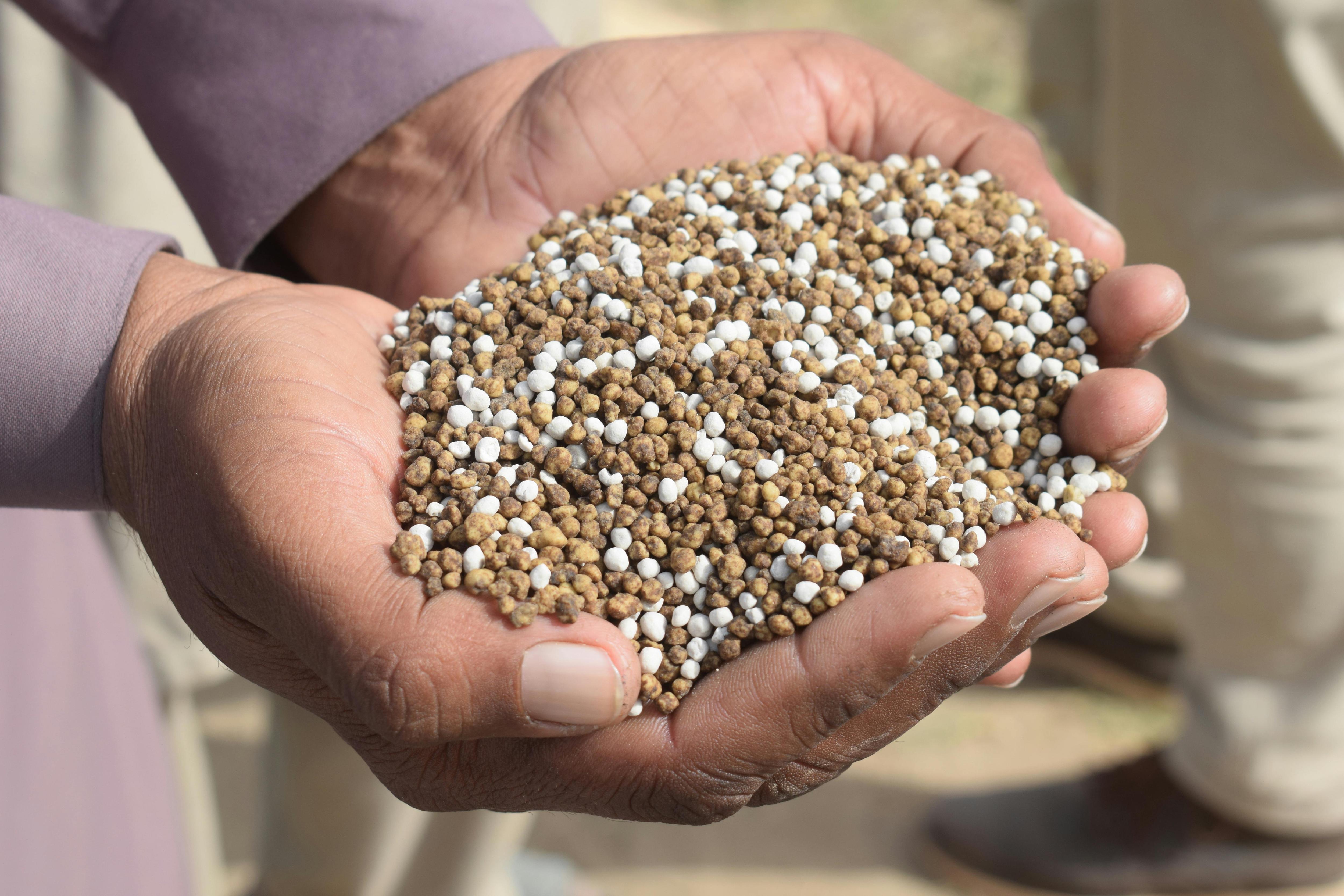 Gas to grain - when fertiliser supply stops
