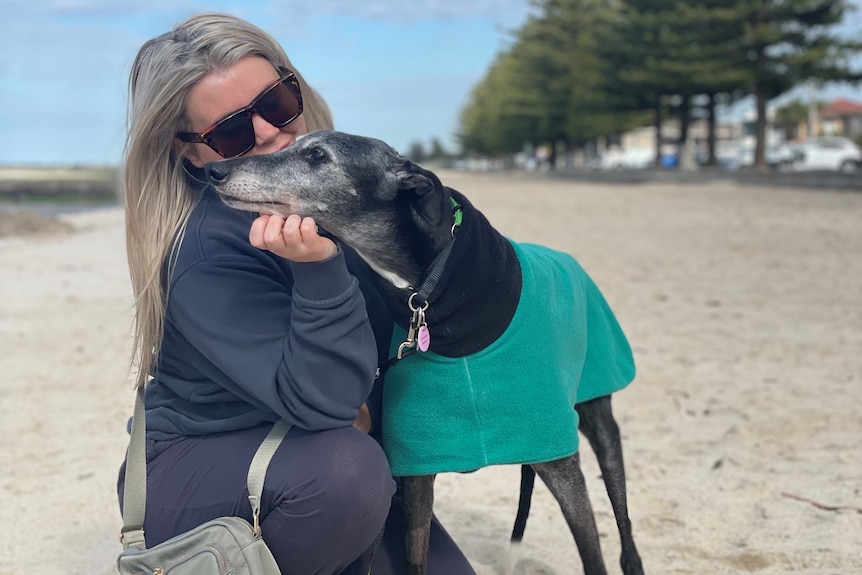 A girl on the beach with a greyhound. 