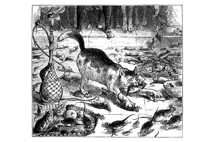 Engraving of a cat catching rats