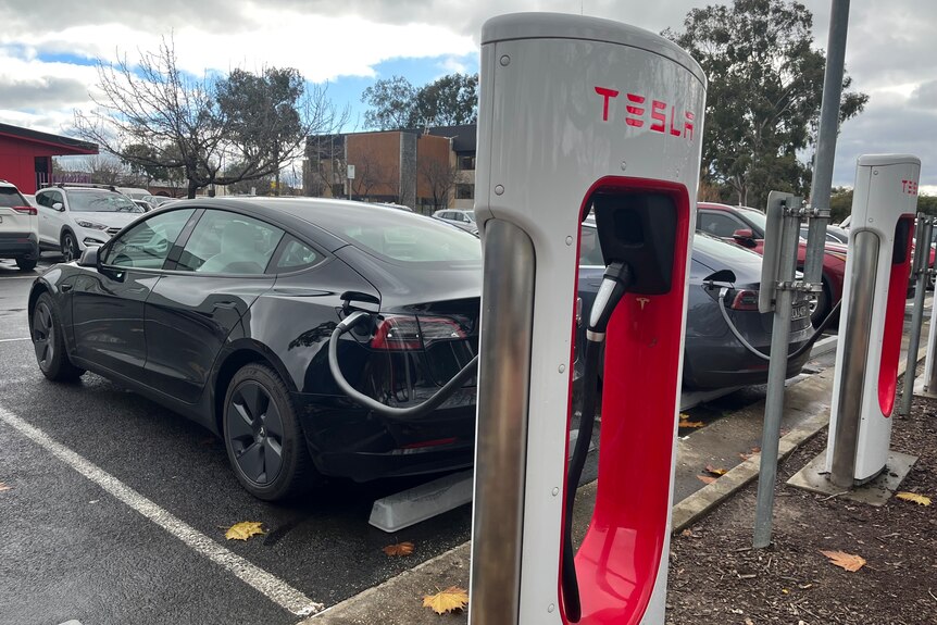 A black electric vehicle hooked up to a Tesla charging station 
