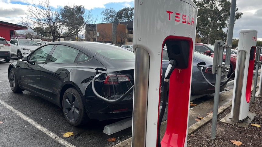Le déploiement des véhicules électriques en Australie est entravé par des réglementations «obsolètes», selon un rapport du Conseil des véhicules électriques