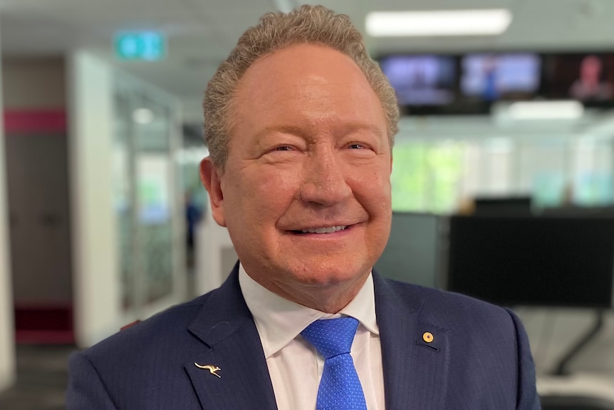 Andrew Forrest wears a blue suit and tie standing in the ABC Ultimo Newsroom