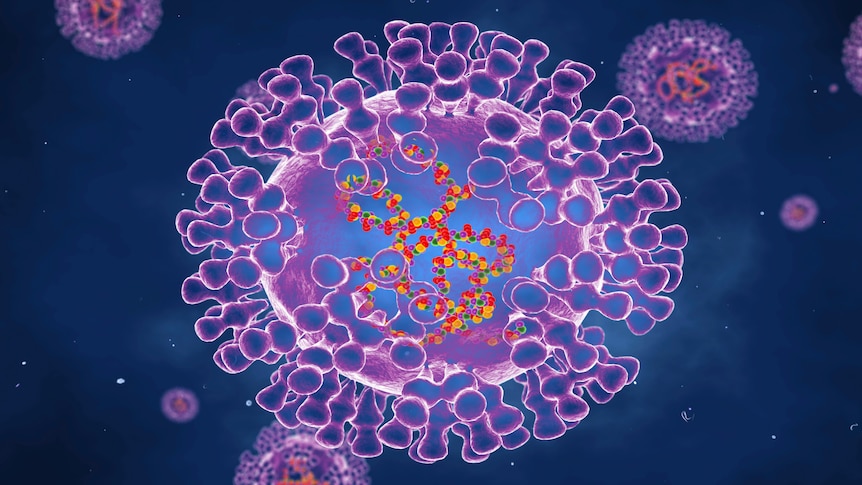 Illustration of pox viruses which are are oval shaped and have double-strand DNA.