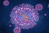 Illustration of pox viruses which are are oval shaped and have double-strand DNA.