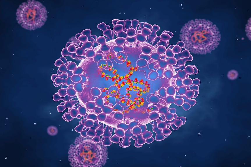 Illustration of pox viruses which are are oval shaped and have double-strand DNA.