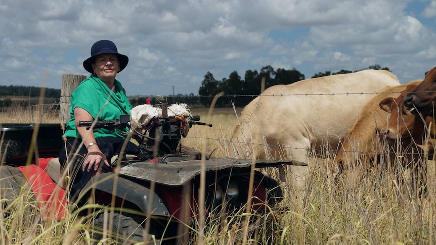 Dianne Priddle is sitting on an ATV in a paddock near Oakey, with some cattle just behind her.