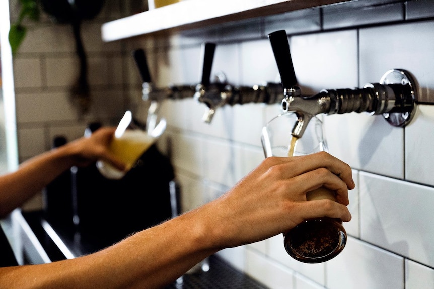 A hand pour tap beer into a glass.