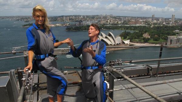 The Hoff proposes