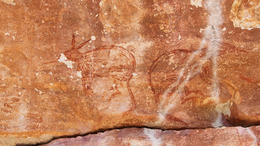 Rock art of bilbies in Maliwawa style