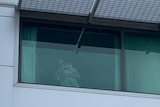 Paloma Fernandez and baby Palomita Davidson waving from a hotel window