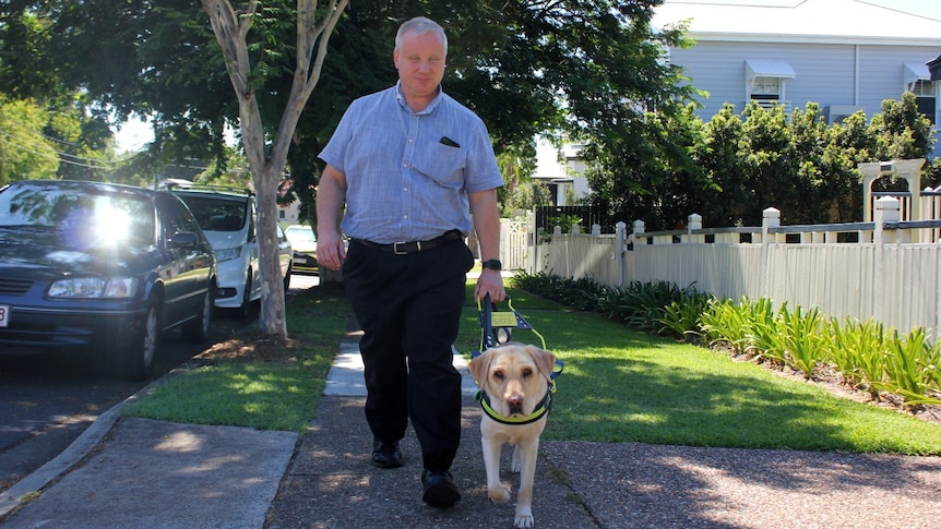 A middle-aged white man with short, grey hair, walks down a surburban street with a seeing-eye dog.