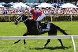 Horse running down the Flemington straight. 