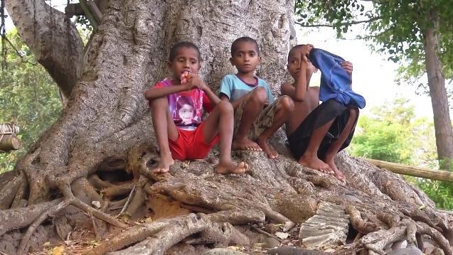 Three Indonesian boys sit at base of tree