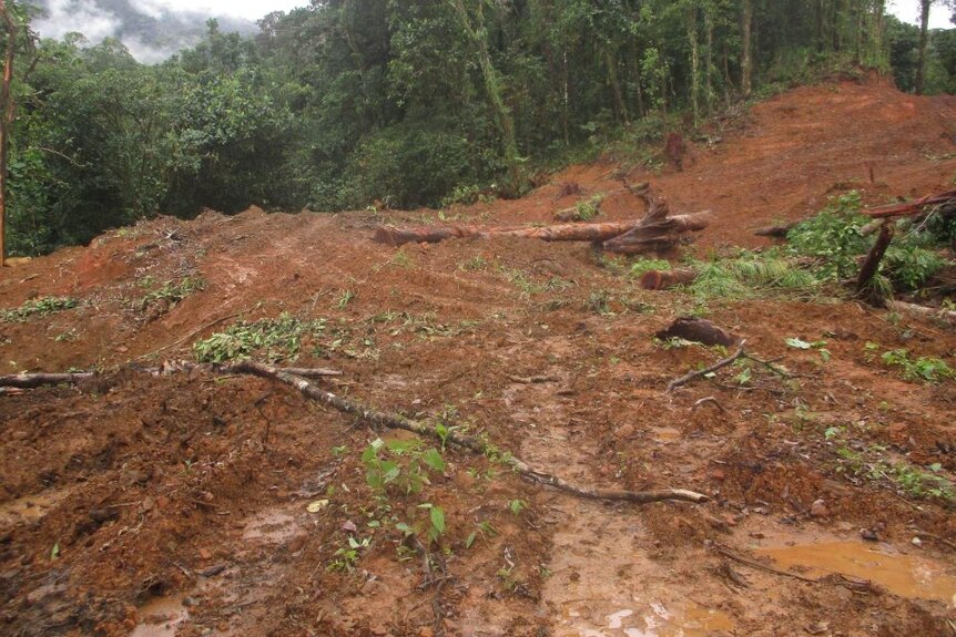 Red-brown soil in the foreground of an area in Solomon Islands that has just been logged, with trees in background
