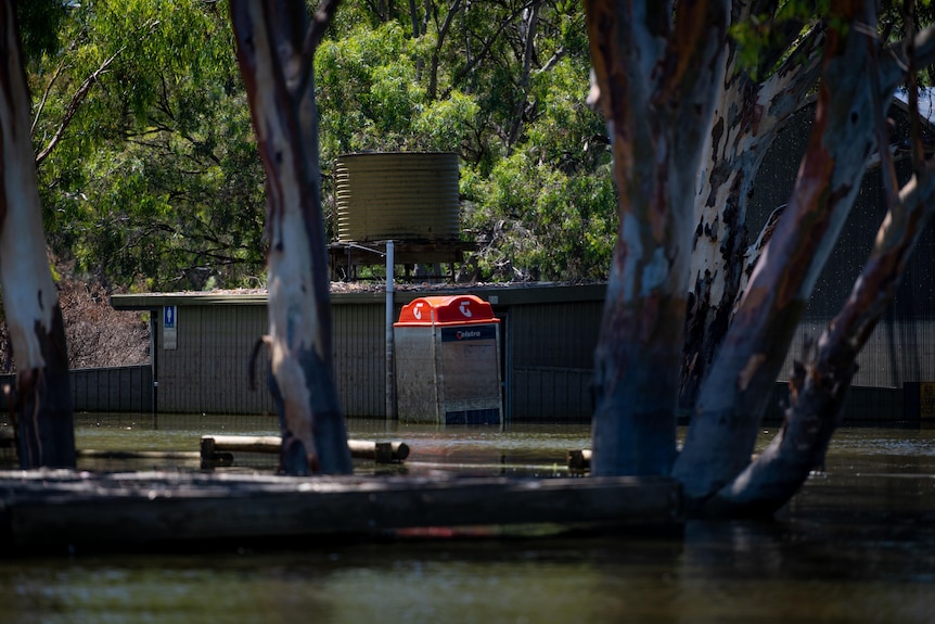 A submerged phone box along the River Murray.