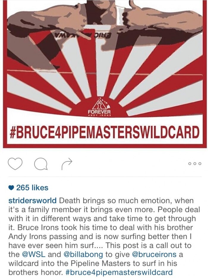 Commentator's post supporting Bruce Irons
