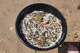 White beads and leaves in a black bucket placed on the sand.