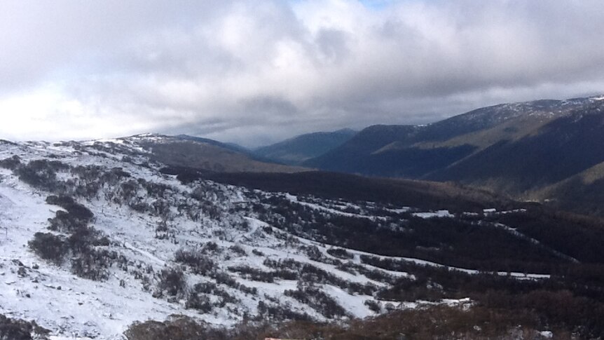 Snow finally arrives at Thredbo over the weekend.