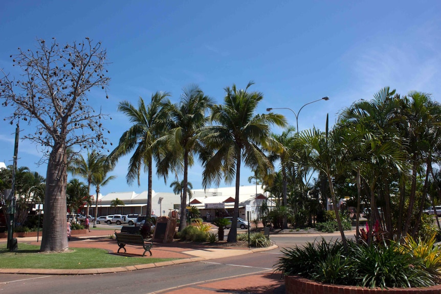 Broome CBD showing boab and palm trees