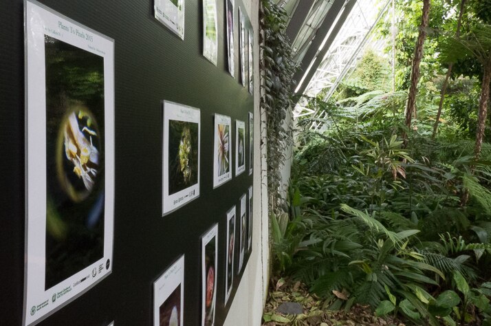 Students used a 60 times clip-on lens to photograph plants around the Botanic Gardens.