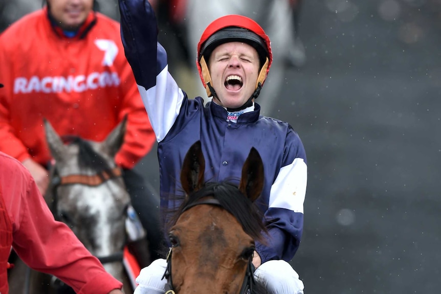 Jockey Kerrin McEvoy celebrates after his 2016 Melbourne Cup win on Almandin.