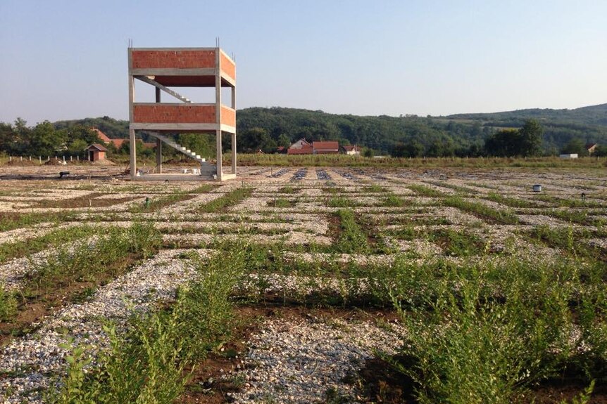 The maze being built in Serbia.