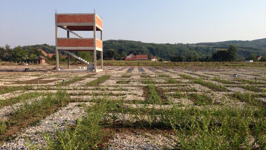 The maze being built in Serbia.