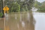 A dark brown river with trees along either side. A 'make way for pedestrians and bikes' sign is half covered by water.